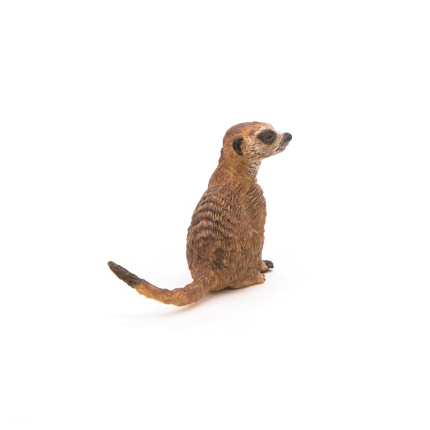 PAPO - Sitting Meerkat - Realistic Figurine - for Ages 3+ - Wild Animal Kingdom Collection - Hand Painted - Highly Detailed - Durable and Educational