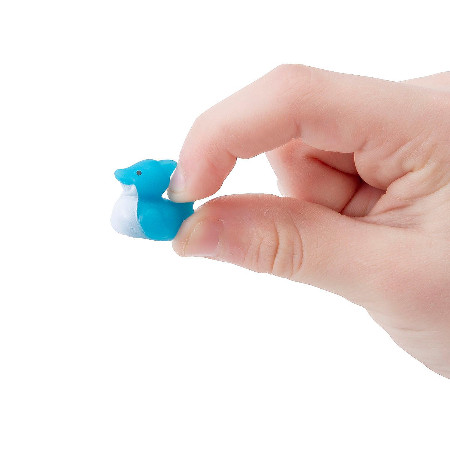Fun Express Micro Shark Rubber Ducks - 24 Piece - Multicolor