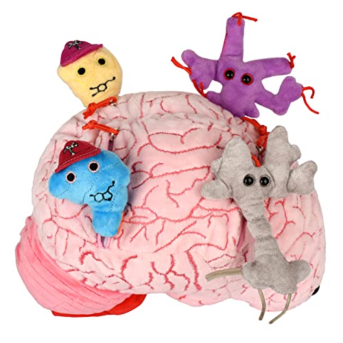 GIANT MICROBES Deluxe 9.5” Brain Plush - Includes Hidden Cells & Neurons