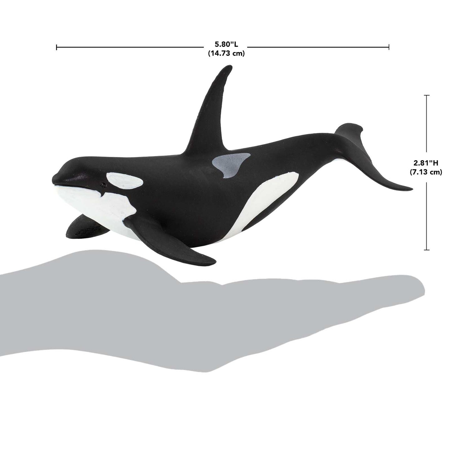 Safari Ltd. Wild Safari Sea Life Orca Figurine - Realistic 6" Killer Whale Model Figure - Educational Toy for Boys Girls & Kids Age 3+