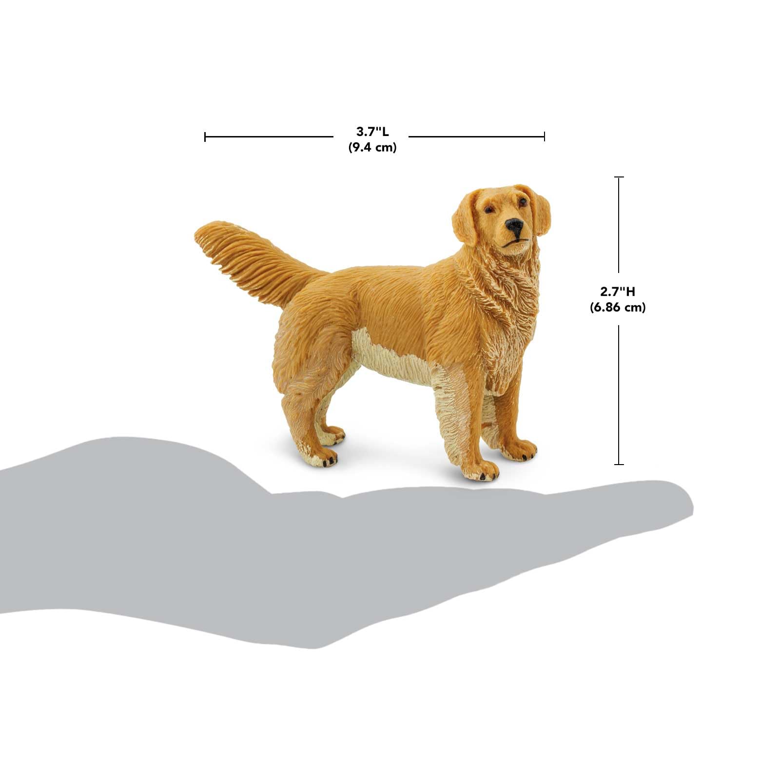Safari Ltd. Golden Retriever Figurine - Detailed 4.5" Plastic Model Figure - Fun Educational Play Toy for Boys, Girls & Kids Ages 1+