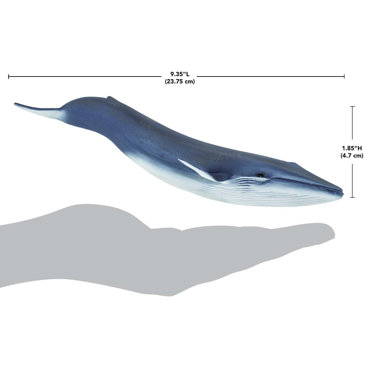 Safari Ltd. Blue Whale Figurine - Detailed 11" Plastic Model Figure - Fun Educational Play Toy for Boys, Girls & Kids Ages 3+