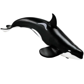 Safari Ltd. Type D Orca Figurine - Realistic 6" Killer Whale Model - Educational Toy for Boys, Girls, and Kids Ages 3+