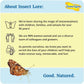 Insect Lore Two Cups of Live Caterpillars | Painted Lady Butterflies | Includes 2 Chrysalis Holding Logs | 10 Live Baby Caterpillars | Refill