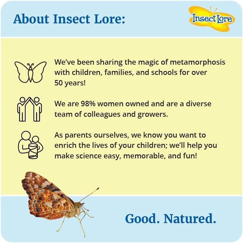 Insect Lore Two Cups of Live Caterpillars | Painted Lady Butterflies | Includes 2 Chrysalis Holding Logs | 10 Live Baby Caterpillars | Refill