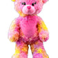 Record Your Own Plush 16 inch Stuffed Shortcake The Bear - Ready to Love in a Few Easy