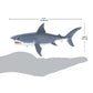 Safari Ltd. Great White Shark Figurine - Lifelike 6.25" Model Figure - Educational Toy for Boys, Girls, and Kids Ages 3+