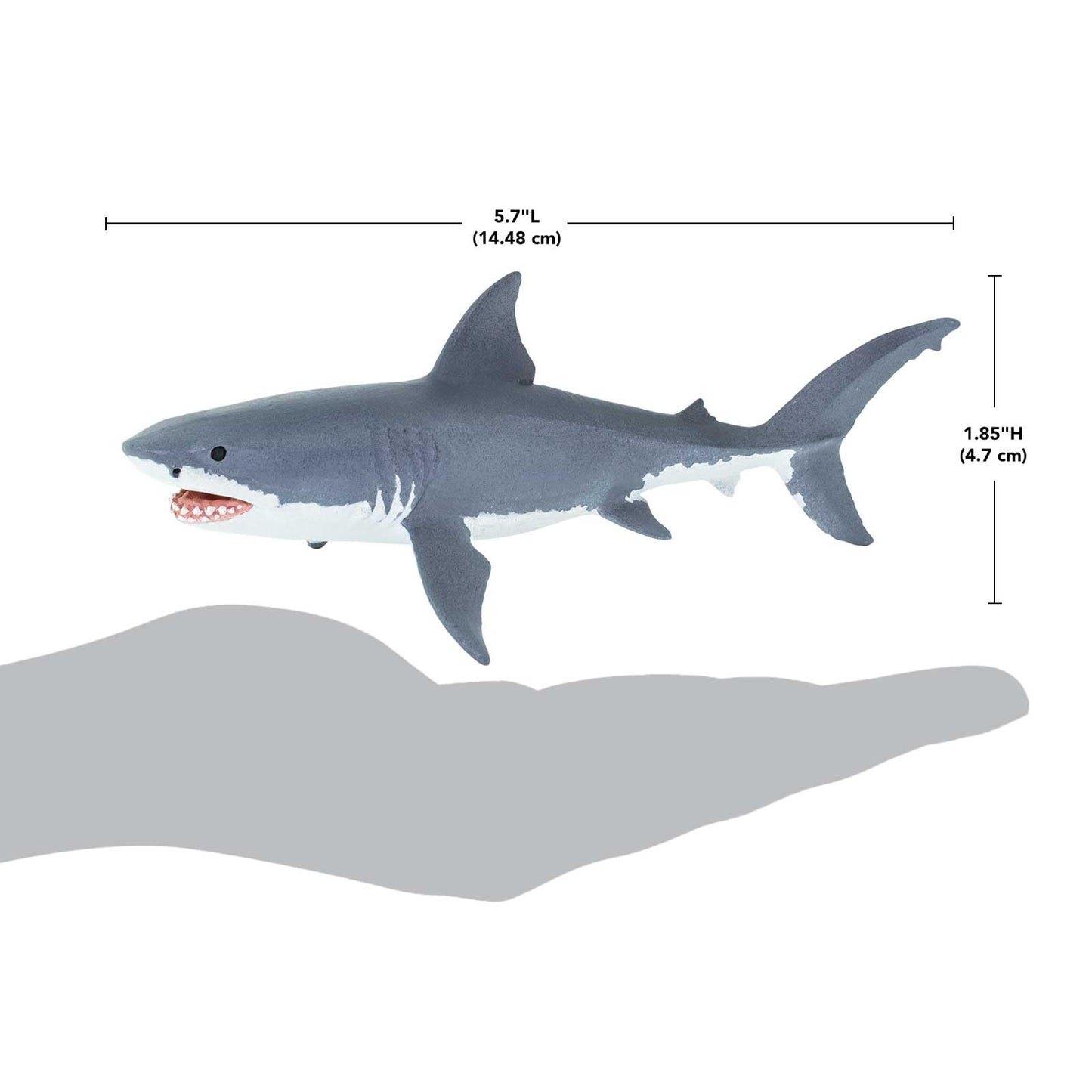 Safari Ltd. Great White Shark Figurine - Lifelike 6.25" Model Figure - Educational Toy for Boys, Girls, and Kids Ages 3+