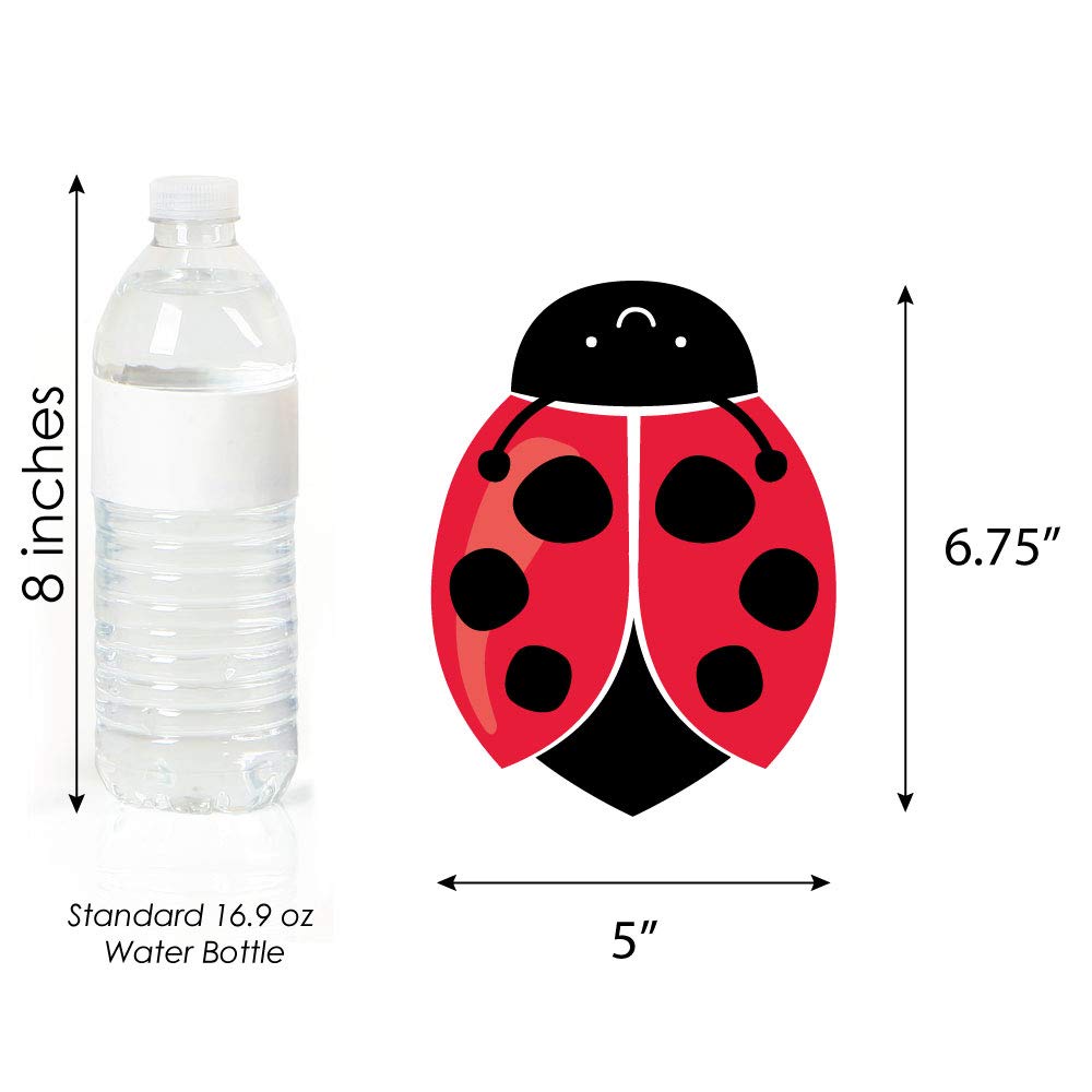 Big Dot of Happiness Happy Little Ladybug - Decorations DIY Baby Shower or Birthday Party Essentials - Set of 20