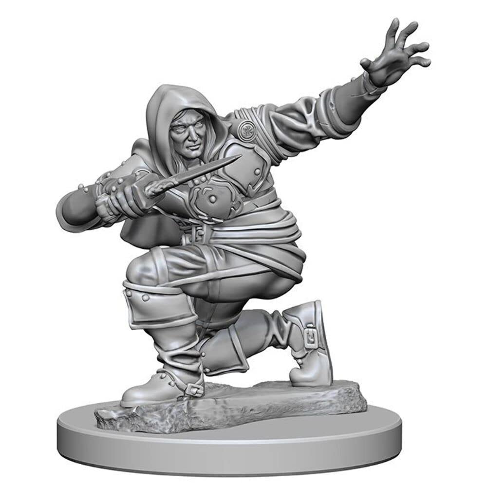 Pathfinder Deep Cuts Unpainted Miniatures: Wave 1: Human Male Rogue