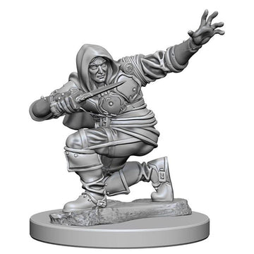 Pathfinder Deep Cuts Unpainted Miniatures: Wave 1: Human Male Rogue