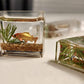 1Pc Square Fish Tank Toy, 1:12 Scale Miniature Dollhoue Accessories, Resin Dollhouse Fish Tank Accessories for Garden Scene Decor