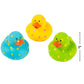 Fun Express Bright Pattern Rubber Duckies - Toys - 12 Pieces