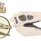 GIANT MICROBES Fuzzy Fossils Velociraptor Plush, Dinosaur Stuffed Animal, Stuffed Dinosaur Plush, Velociraptor Toy, Dinosaur Toy, Dinosaur Skull