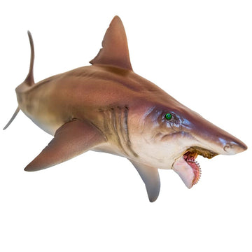 Lana Toys PNSO Helicoprion Haylee Figure Realistic Edestidae Shark PVC Collector Toys Animal Art Model Decoration Gift for Adult