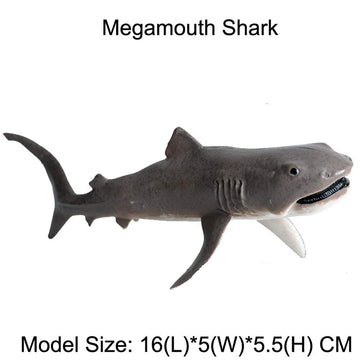 FLORMOON Animal Figures Realistic Megamouth Shark Plastic Early Educational Toys Cupcake Topper Party Gift for Kids 3+ Year Old