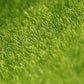 EMiEN 6''x6''Life-Like Artificial Grass Lawn Miniature Ornament for for DIY Fairy Garden Decoration (4 Pack)