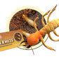 GIANT MICROBES Termite Plush - Learn About This Common Crawler with This Cuddly Plush, Unique Gift for Friends, Family, Educators, Students,