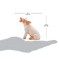 Safari Ltd. Sitting Piglet Figurine - Lifelike 1.75" Model Figure - Educational Toy for Boys, Girls, and Kids Ages 3+