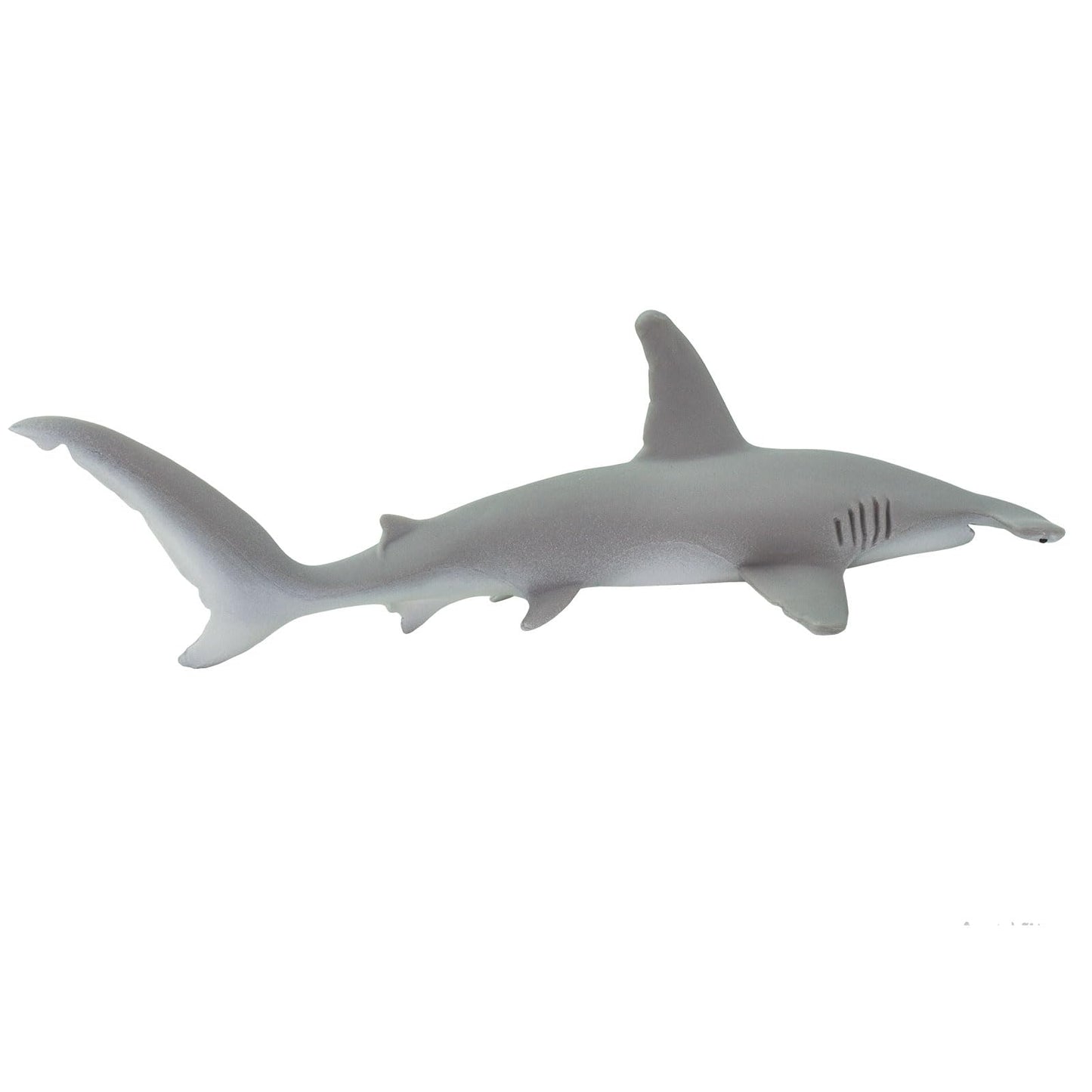 Safari Ltd. Hammerhead Shark Figurine - Lifelike 8" Plastic Model Figure - Fun Educational Play Toy for Boys, Girls & Kids Ages 1+