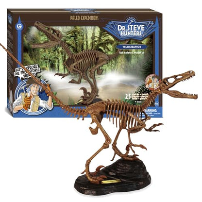 Geoworld Velociraptor Skeleton Model Kit - Scale Replica Velociraptor Skeleton - Build, Learn & Play STEM Toy for Kids Ages 6+