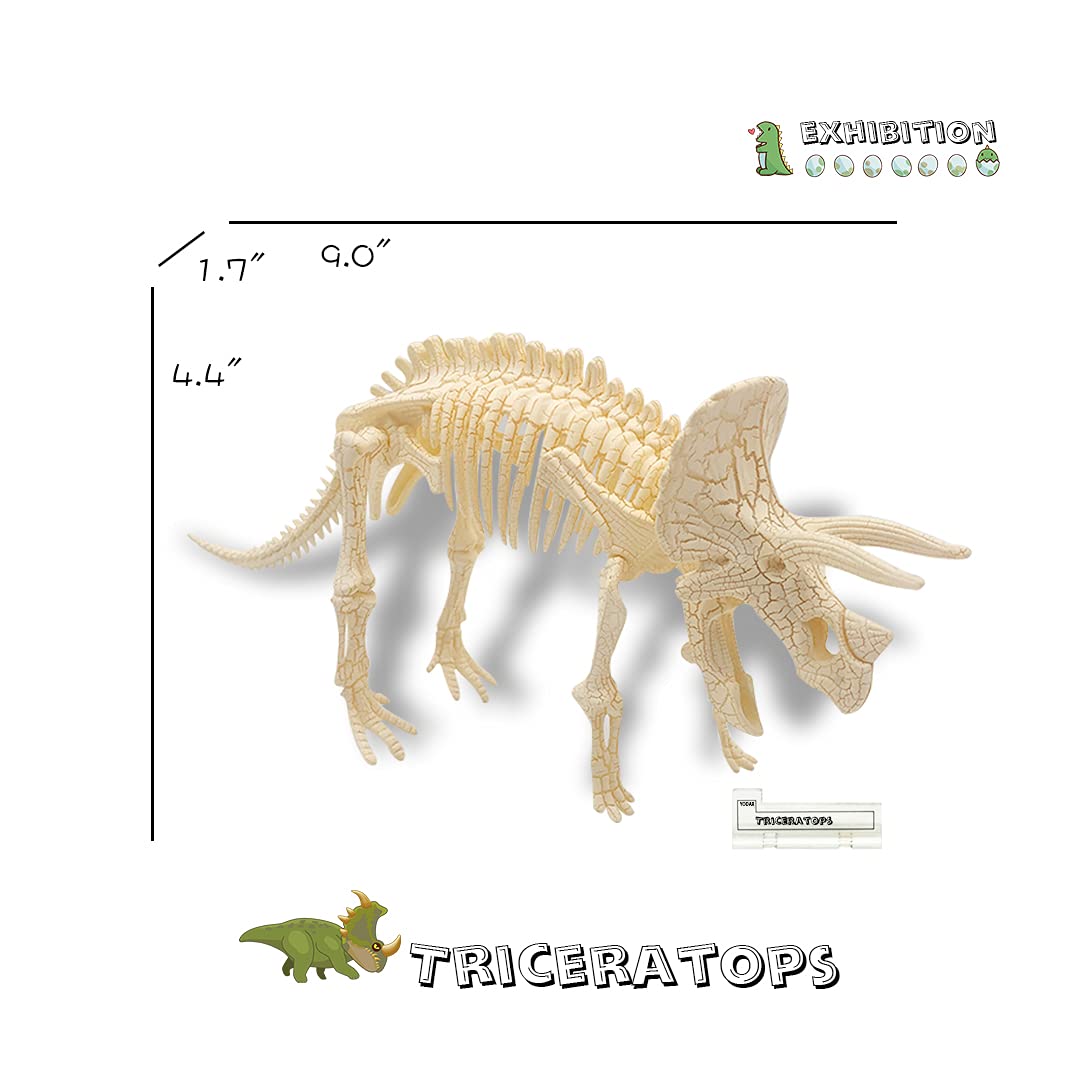 YODAR 3 Pcs Dinosaur Fossil Skeleton DIY Toys 8.7 Inch Educational Puzzles Model Set for Kids Over 8 Years Old