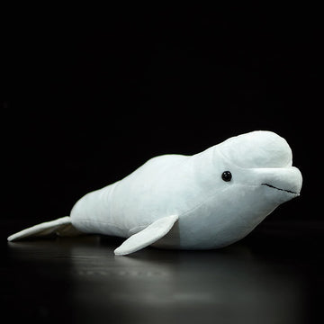 Frankiezhou Home Beluga Whale Plush Toy - Realistic 20.5" Grey Lifelike Frilled Six Gill Shark Stuffed Toy, Super Soft Sea Creatures Sharks Model