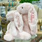 shiguangji Embroidered Plush Bunny with Child's Name - Personalized Long Ear Bunny for Baby Gift, Stuffed Animal,Custom Perfect Keepsake
