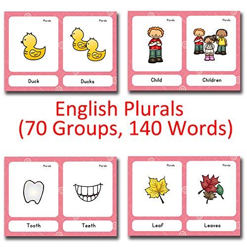 LUGMAZU English Plurals Flash Cards for Toddlers 2-6 Years, Kids Early Learning Toy Educational Preschool Flashcards for Kindergarten Preschool 1st