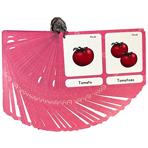 LUGMAZU English Plurals Flash Cards for Toddlers 2-6 Years, Kids Early Learning Toy Educational Preschool Flashcards for Kindergarten Preschool 1st