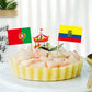 ZXvZYT 48 Country Flag 2026 Patriotic National Soccer Toothpick Flags,Small Mini Countries World Cupcake Toppers Stick flags - Soccer Party Cocktail