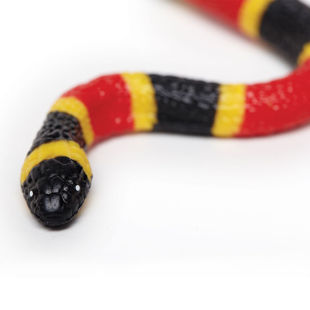 Safari Ltd. Coral Snake Baby Figurine - Detailed 10.75" Plastic Model Figure - Fun Educational Play Toy for Boys, Girls & Kids Ages 3+