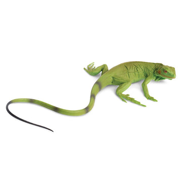 Safari Ltd. Iguana Baby Figurine - Detailed 9.4" Plastic Model Figure - Educational Toy for Boys, Girls and Kids Ages 3+
