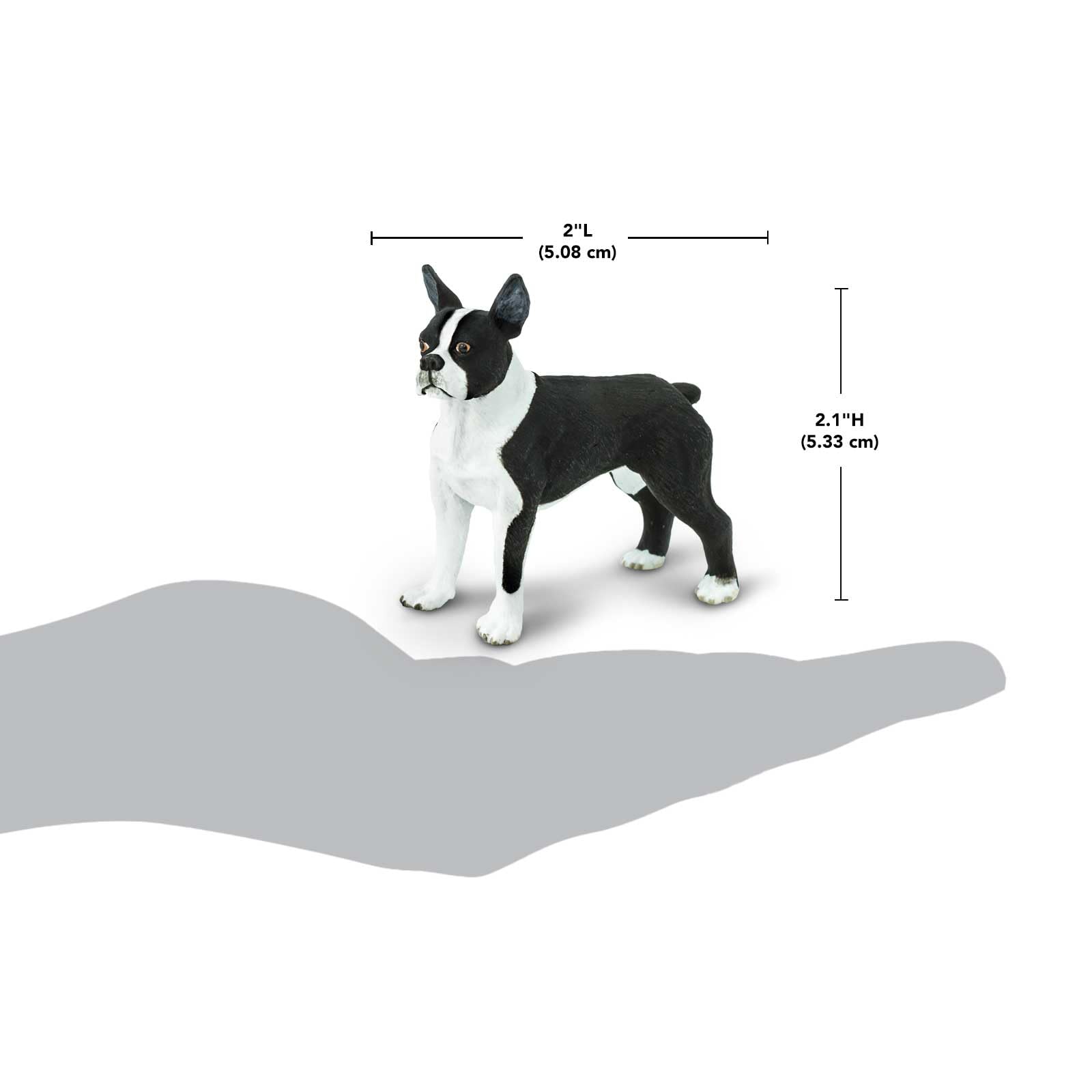 Safari Ltd. Boston Terrier Figurine - Lifelike 2.5" Model Figure - Educational Toy for Boys, Girls, and Kids Ages 3+