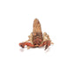 Papo - Realistic Scorpion Figure - Ages 3+ - Garden Animals Collection - Educational Play Insects - Gift Idea Toy for Girls and Boys