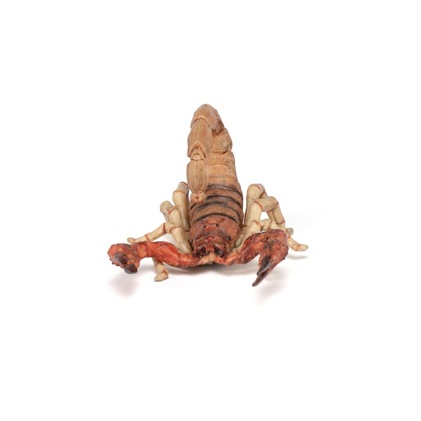 Papo - Realistic Scorpion Figure - Ages 3+ - Garden Animals Collection - Educational Play Insects - Gift Idea Toy for Girls and Boys