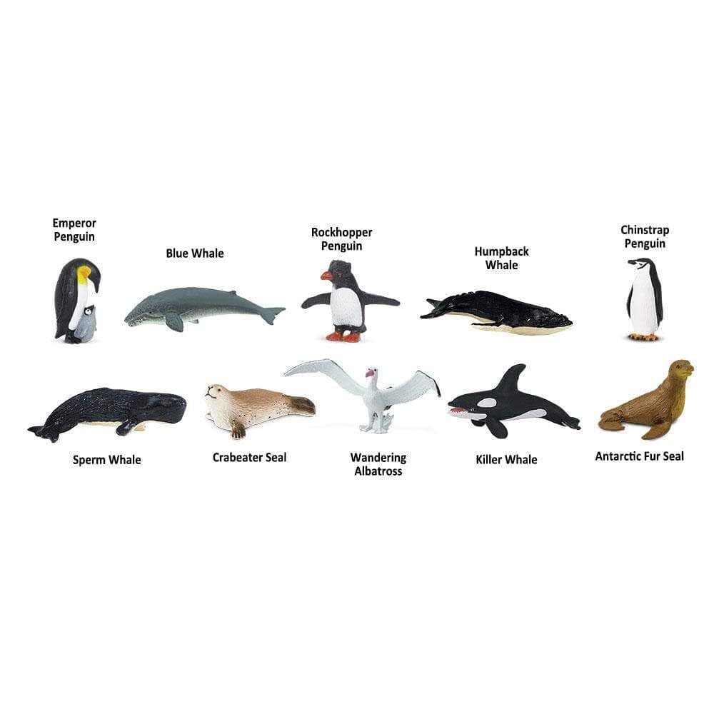Safari Ltd. Antarctica Toob - Toy Figurines Penguins, Whales, Seals, & More- Fun Educational Play Toy Figure Set for Boys, Girls & Kids 3+