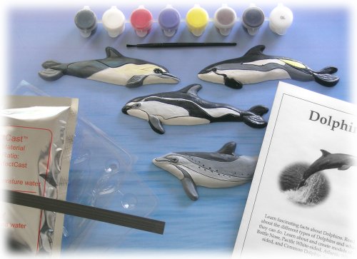 Eyewitness Kit Dolphin