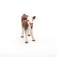 Papo "Simmental Calf Figure