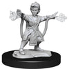 WizKids The Ballad of Songbirds and Snakes (A Hunger Games Novel) (The Hunger Games)