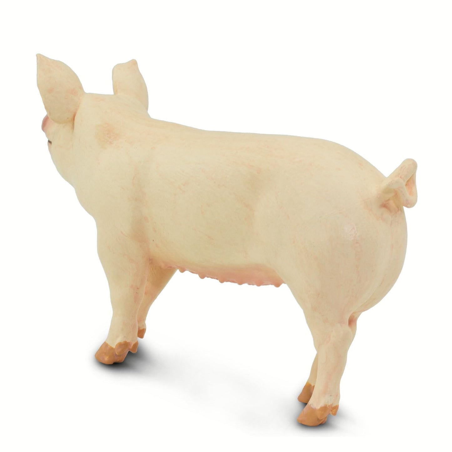 Safari Ltd. Large White Pig - Realistic 4" Farm Animal Figure - Educational Toy for Boys, Girls, and Kids Ages 3+