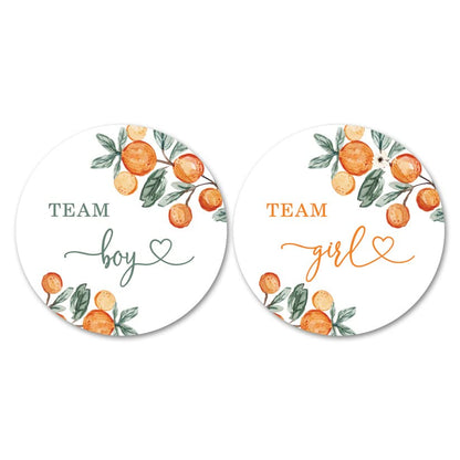 Little Cutie Orange Gender Reveal Stickers - 40 Labels (20 of Each Design)