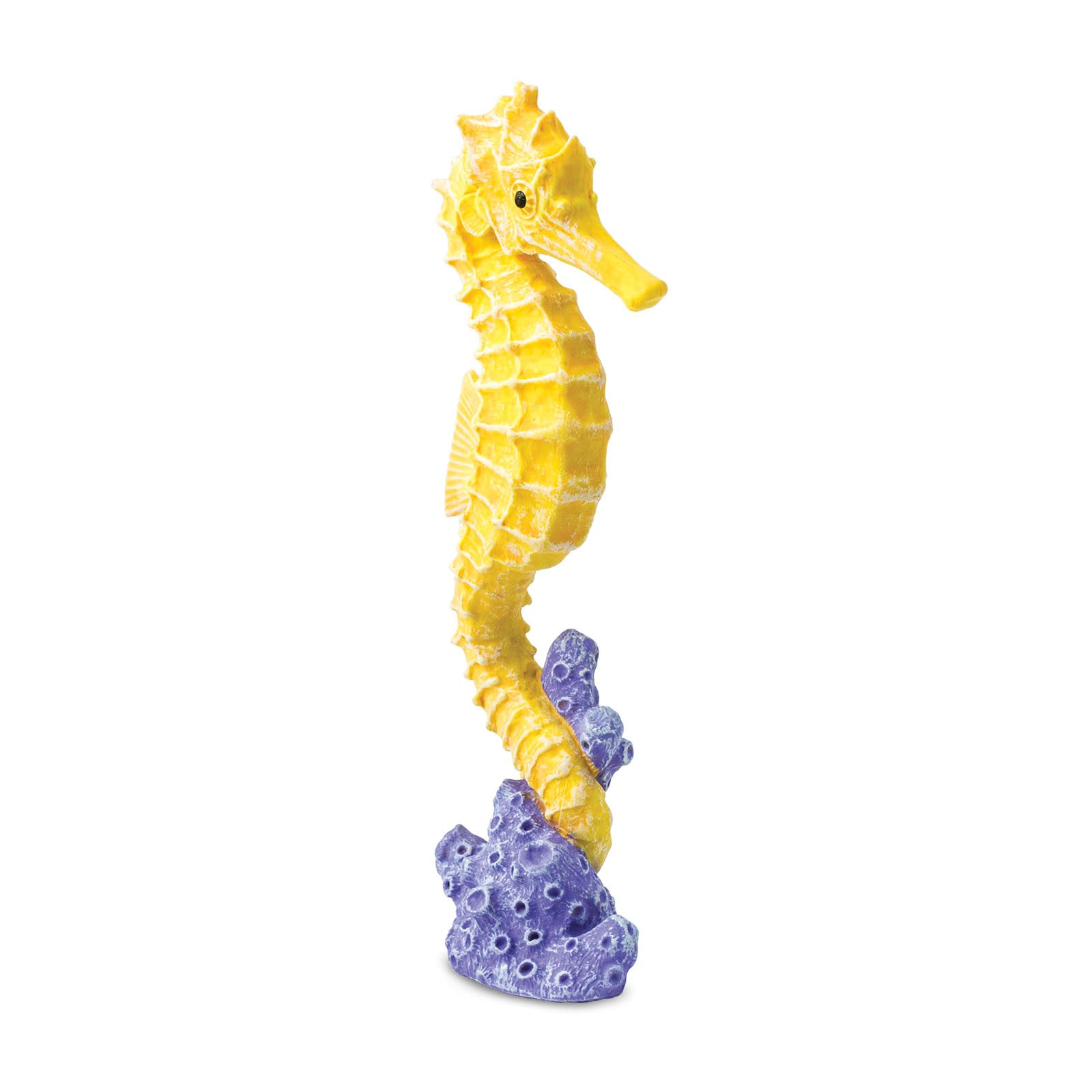 Safari Ltd. Seahorse Figurine - Detailed 5" Plastic Model Figure - Fun Educational Play Toy for Boys, Girls & Kids Ages 3+
