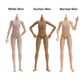 XiDonDon 21cm PVC Doll Body Piccodo P20 Movable Joint Body for OB24, GSC, BJD Doll Accessories Replacement Body Toys (Normal Skin)