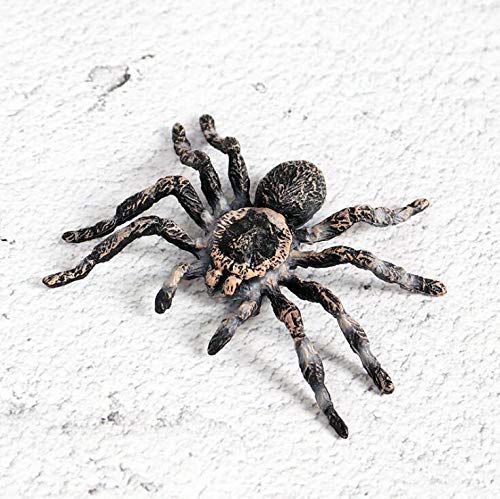 FLORMOON Realistic Animal Figures - Spider Action Model Lifelike Insect Toy Figures - Educational Learning Toys Birthday Set for Boys Girls Kids