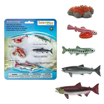 Safari Ltd. Life Cycle of a Salmon Set - 5 Hand-Painted, Lifelike Model Figures - Fun Educational Toy for Boys, Girls & Kids Ages 4+