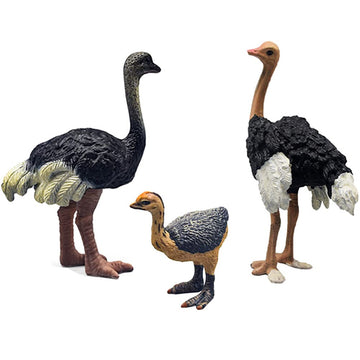 DOYIFUN 3 Pcs Realistic Ostrich Family Figurines Cake Topper, Plastic Wildlife Ostrich Animal Toy Figures Collection Playset Birthdat Gift Educational