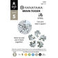 BePuzzled | Spiral Hanayama Metal Brainteaser Puzzle Mensa Rated Level 5, for Ages 12 and Up