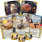 Fantasy Flight Games Star Wars Destiny: Way of the Force Booster Pack Display (36)