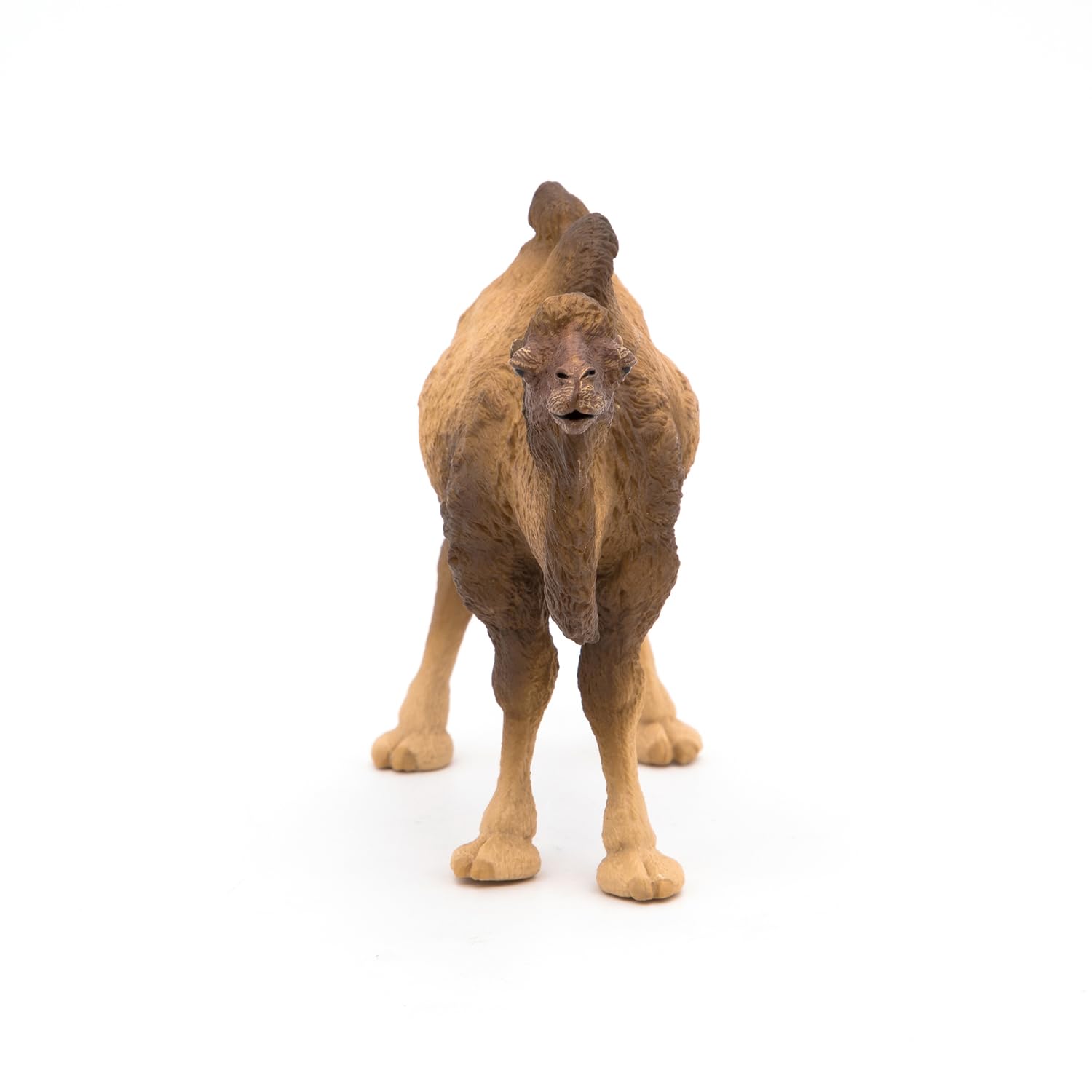 Papo - Realistic Bactrian Camel Figure Toy for Kids - Ages 3+ - Wild Life Collection - Educational Play Exotic Animals - Gift Idea Toy for Girls